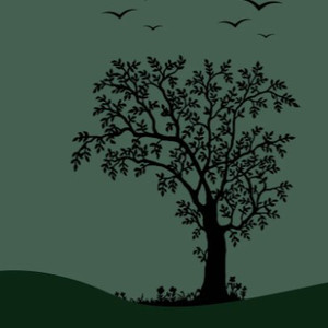 亚洲女人对男人张开双腿
